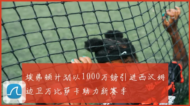 埃弗顿计划以1000万镑引进西汉姆边卫万比萨卡助力新赛季