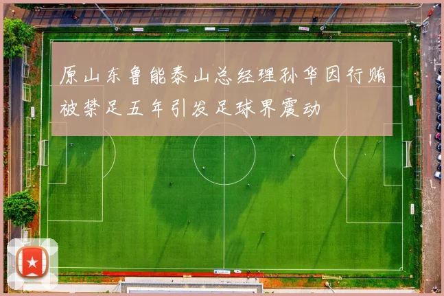 原山东鲁能泰山总经理孙华因行贿被禁足五年引发足球界震动